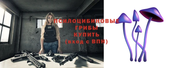 герыч Анива