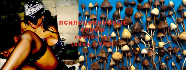 герыч Анива
